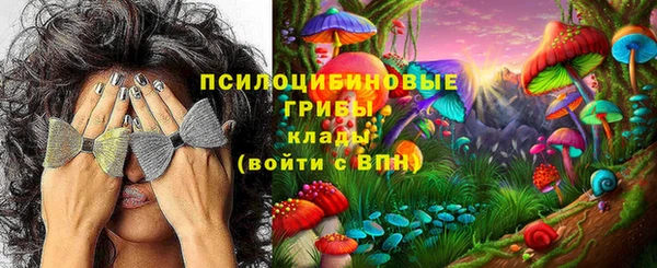 меф Алексин