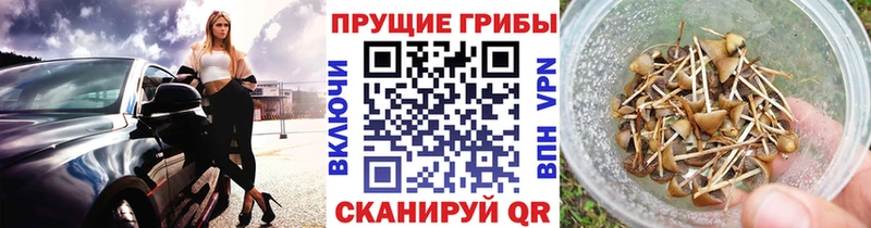Галлюциногенные грибы прущие грибы  Богородск 